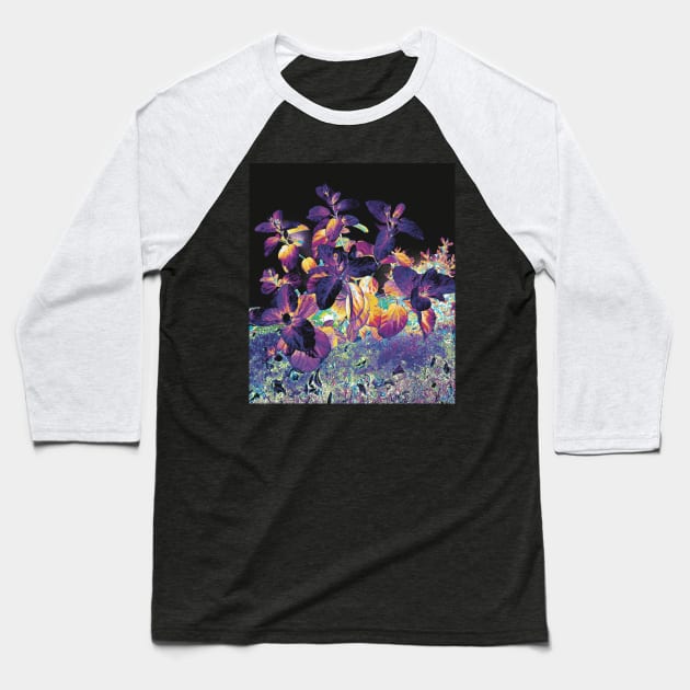 Nightshade Baseball T-Shirt by Shanzehdesigns